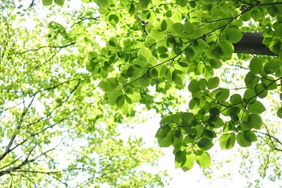 21週まで安心の無痛中絶手術